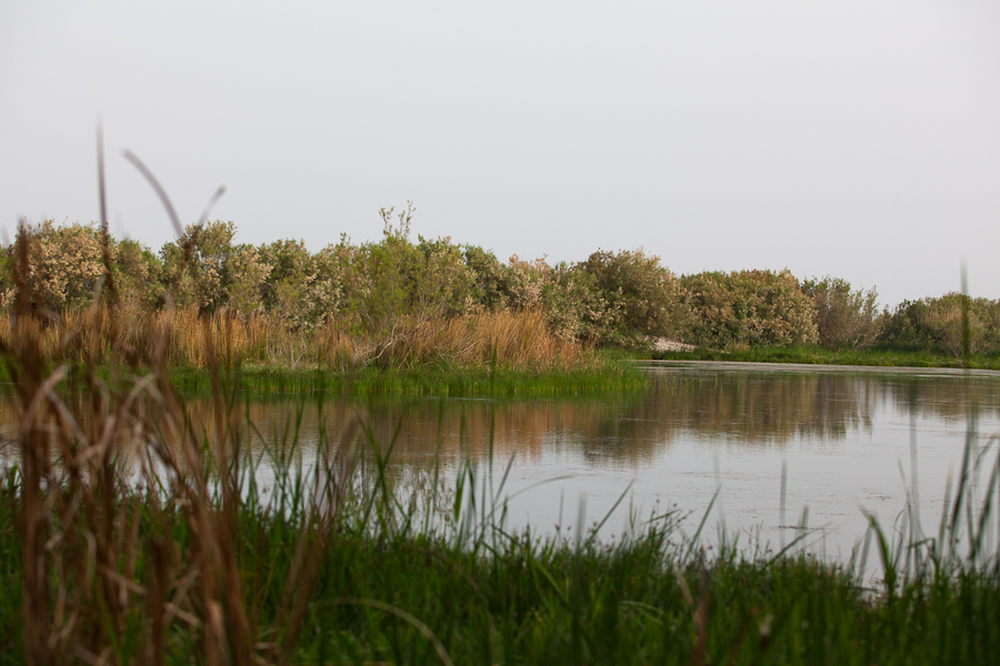 تصوير عامر سويدان | Photo by Amer Sweidan