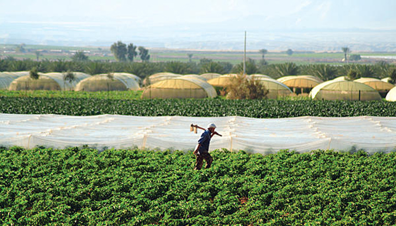 jordan-water-agriculture