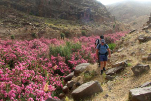 Wadi Zarqa Ma'in Canyoning Jordan 03