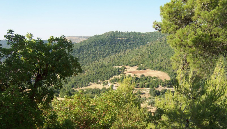 ajloun-nature-reserve