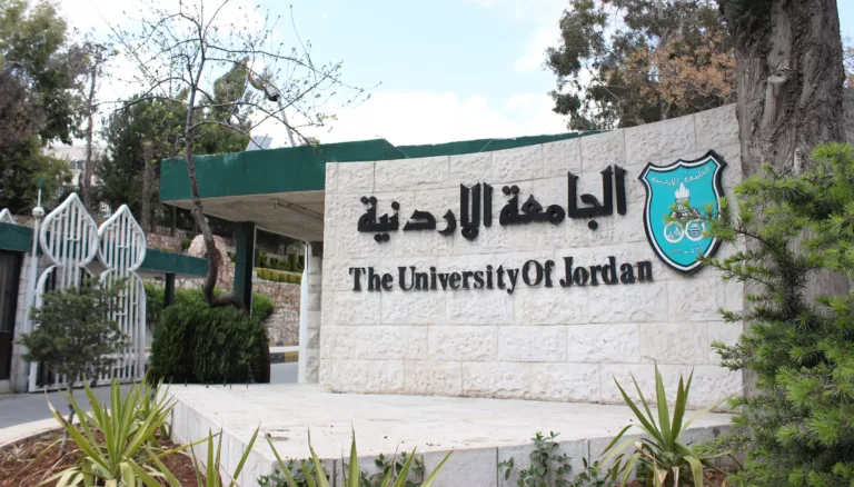 كيف مرّت تجربة التعليم عن بعد في الجامعات الحكومية خلال جائحة كورونا؟