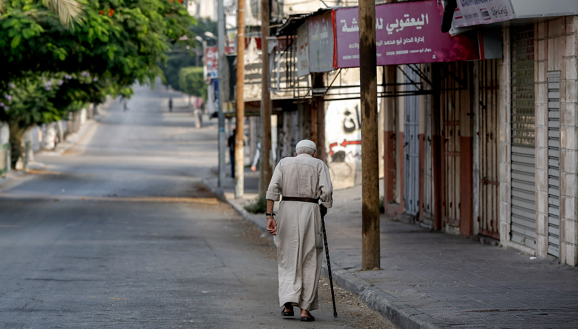 كورونا في غزة