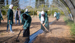 مدرسة الزمالية