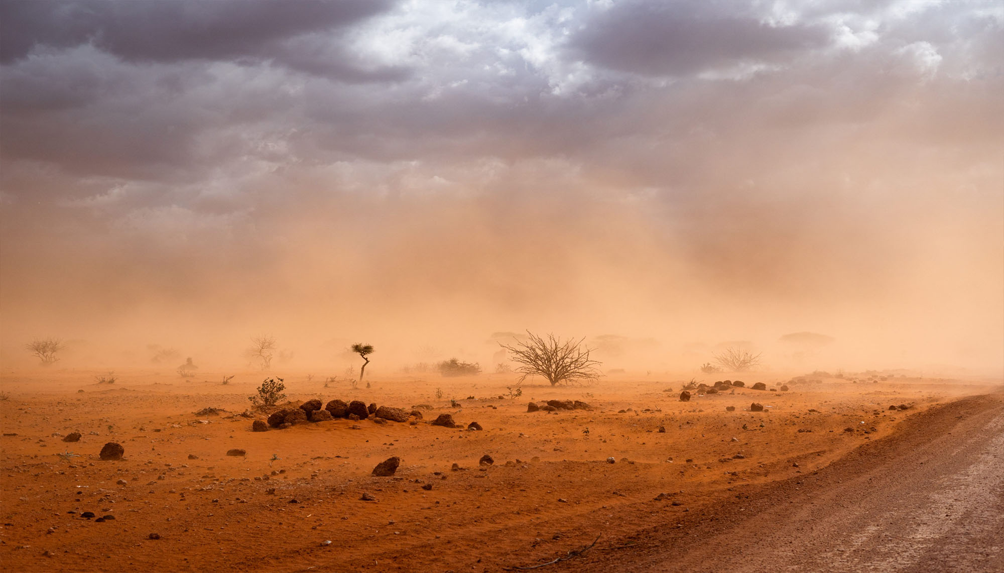 التغير المناخي في إفريقيا
