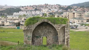 صور | العودة إلى قرى فلسطين المهجّرة