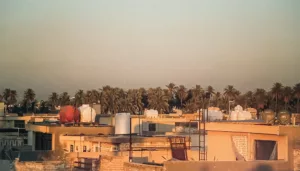 رحلة الحزام الأخضر لبغداد من الغابات إلى العشوائيات