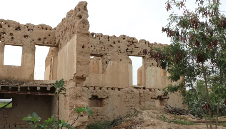 ما الذي بقي من عمارة الطين في الأغوار؟