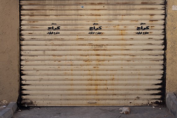 A dead cat in front of a garage door with 3 "No Parking" stencil signs