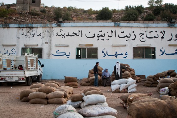 Aisha SH Olive Farm-20